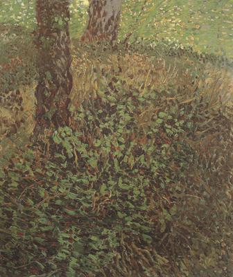 Vincent Van Gogh Undergrowth (nn04) China oil painting art